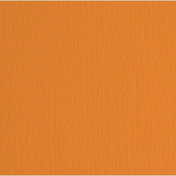 Cartoncino Elle Erre - 70x100cm - 220gr - arancio 108 - Fabriano - blister 10 fogli
