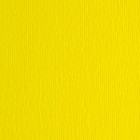 Cartoncino Elle Erre - 50x70cm - 220gr - giallo 107 - Fabriano -  blister 20 fogli