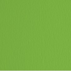 Cartoncino Elle Erre - 50x70cm - 220gr - verde 111 - Fabriano -  blister 20 fogli