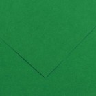 Foglio Colorline - 70x100 cm - 220 gr - verde vivo - Canson