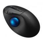 Trackball portatile Pro Fit® Ergo TB450 - wireles - nero - Kensington